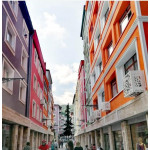 12  BTU   Balkon içi bahçe çiçek dekorlu Klima Gizleme 